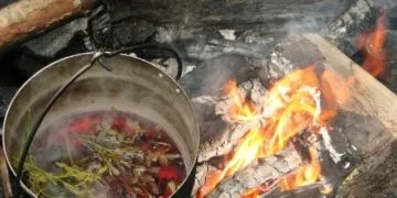 Як вибрати хороший чай, як визначити якість чаю