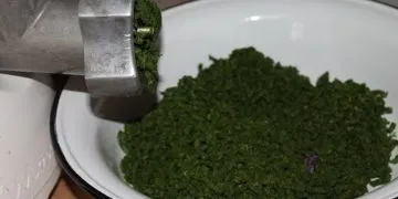 Як вибрати хороший чай, як визначити якість чаю