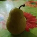 Кальян на яблуці