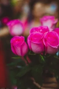 Як я брала участь в жіночому флешмобі (брала участь) Як я брала участь в жіночому флешмобі
