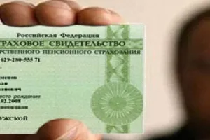 Як відновити СНІЛС при втраті що це за документ і що робити коли він втрачений (предпрінімательная діяльність) Як відновити СНІЛС при втраті що це за документ і що робити коли він втрачений