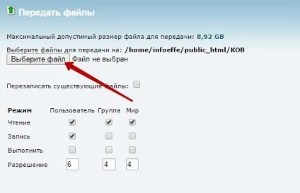 Як вручну встановити wordpress на хостинг в cpanel топ