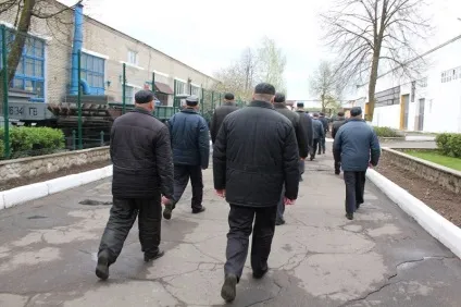Як Волковиського колонія заробляє гроші (гроші) Як Волковиського колонія заробляє гроші