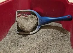 Грудкує наповнювач для котячого туалету (грудкує) Грудкує наповнювач для котячого туалету