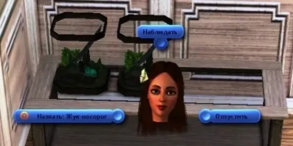 Колекціонування в the sims 3 - великий огляд про Сімс 3 колекціонування (рідкісна) Колекціонування в the sims 3 - великий огляд про Сімс 3 колекціонування