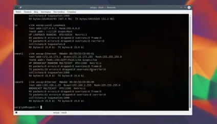 Команда ifconfig - приклади використання, losst (sudo ifconfig eth0) Команда ifconfig - приклади використання, losst