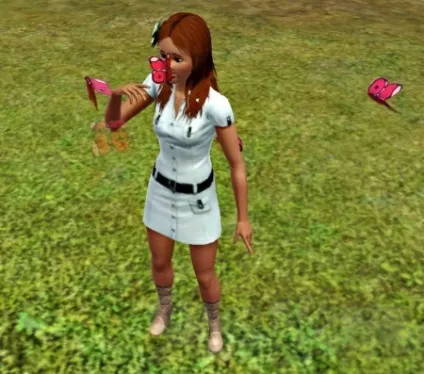 Колекціонування в the sims 3 - великий огляд про Сімс 3 колекціонування (метеликами залежить рідкості) Колекціонування в the sims 3 - великий огляд про Сімс 3 колекціонування