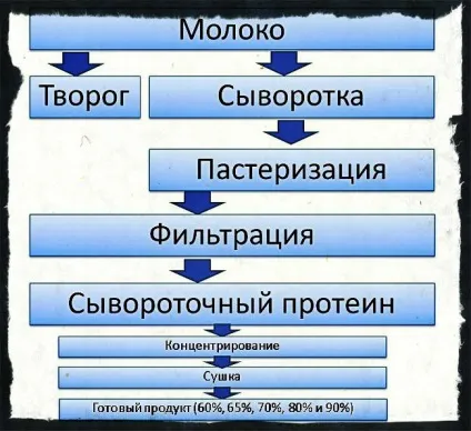 Казеїн для схуднення особливості протеїну, як і коли правильно пити (особливо) Казеїн для схуднення особливості протеїну, як і коли правильно пити
