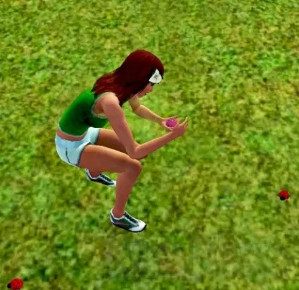 Колекціонування в the sims 3 - великий огляд про Сімс 3 колекціонування (дорогоцінних) Колекціонування в the sims 3 - великий огляд про Сімс 3 колекціонування