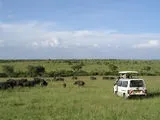 Куди поїхати в січні (куди) Куди поїхати в січні