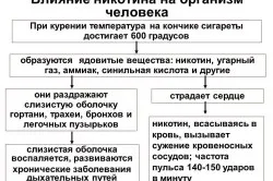 Куріння на голодний шлунок (про шлунку) Куріння на голодний шлунок