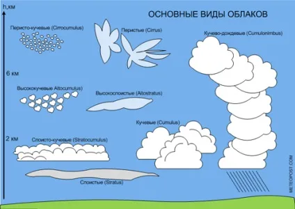 Хто і що, де літає
