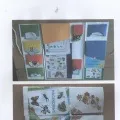 Лепбук «комахи»