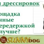 Ласощі для дресирування - яке і приготування (ласощі) Ласощі для дресирування - яке і приготування