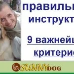 Ласощі для дресирування - яке і приготування (яке) Ласощі для дресирування - яке і приготування