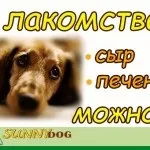 Ласощі для дресирування - яке і приготування (ласощі) Ласощі для дресирування - яке і приготування