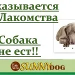 Ласощі для дресирування - яке і приготування (яке) Ласощі для дресирування - яке і приготування
