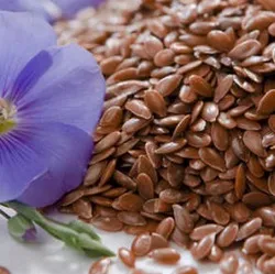 Лікування кишечника народним засобом (лікування) Лікування кишечника народним засобом