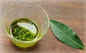 Лавровий лист при остеохондрозі рецепт лікування (лікування) Лавровий лист при остеохондрозі рецепт лікування