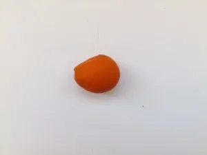 Ліпимо з пластиліну білочку, мій розумник (білочку) Ліпимо з пластиліну білочку, мій розумник
