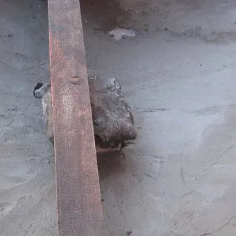 Літній душ з цегли на дачі своїми руками фото, відео, як зробити цегляний душ (своїми) Літній душ з цегли на дачі своїми руками фото, відео, як зробити цегляний душ