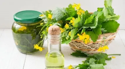 Лікування аденоми простати чистотілом - властивості, рецепти, відгуки (властивості) Лікування аденоми простати чистотілом - властивості, рецепти, відгуки