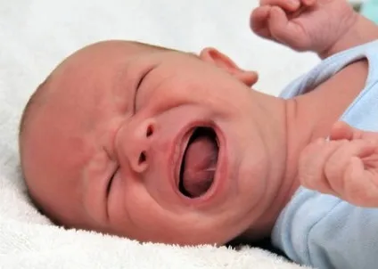 Лактобактерин для новонароджених інструкція із застосування як розводити і давати новонародженому (застосування) Лактобактерин для новонароджених інструкція із застосування як розводити і давати новонародженому