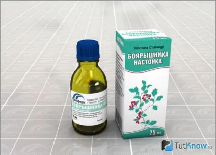 Лікувальні властивості, застосування і протипоказання глода (глод) Лікувальні властивості, застосування і протипоказання глода