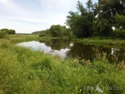 Ловля щуки де найкраще ловити щуку, на які приманки, в Ккак місцях - все про лов щуки в (рибалка) Ловля щуки де найкраще ловити щуку, на які приманки, в Ккак місцях - все про лов щуки в