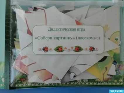 Лепбук «комахи»