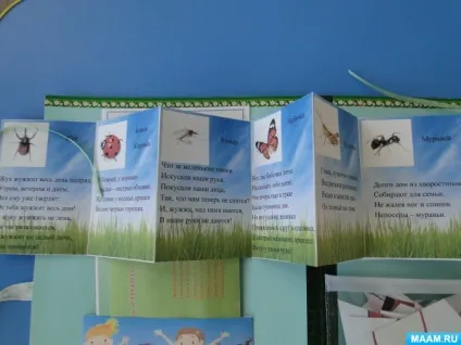 Лепбук «комахи»