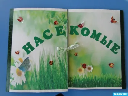 Лепбук «комахи»
