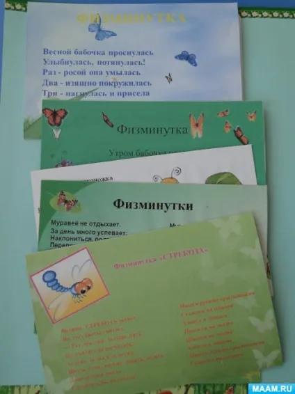 Лепбук «комахи»