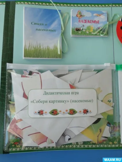 Лепбук «комахи»