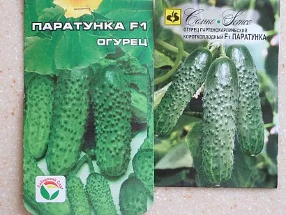Кращі сорти огірків для будь-якого регіонаУкаіни (кращі) Кращі сорти огірків для будь-якого регіонаУкаіни