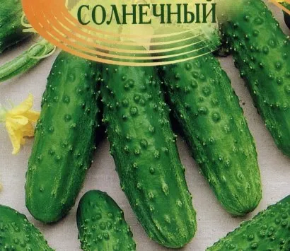 Кращі сорти огірків для будь-якого регіонаУкаіни (огірків) Кращі сорти огірків для будь-якого регіонаУкаіни