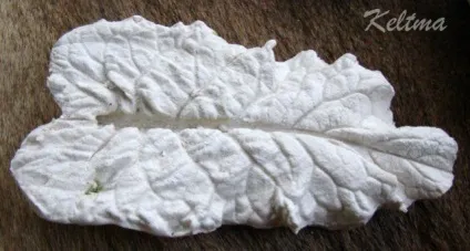 Майстер-клас листя з гіпсу - ярмарок майстрів - ручна робота, handmade (ручна) Майстер-клас листя з гіпсу - ярмарок майстрів - ручна робота, handmade