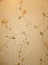 Майстер вячеслав - маляр в москві (москві) Майстер вячеслав - маляр в москві