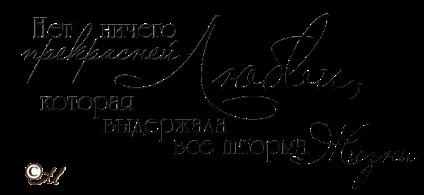Матеріали для оформлення весільного альбому, lezust