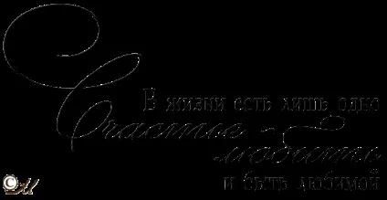 Матеріали для оформлення весільного альбому, lezust