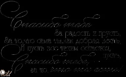Матеріали для оформлення весільного альбому, lezust