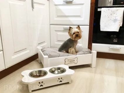Місце для собаки вдома