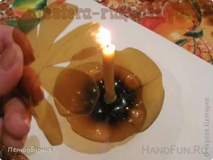 Майстер-клас шишки з пластикових пляшок (пляшок) Майстер-клас шишки з пластикових пляшок
