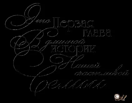 Матеріали для оформлення весільного альбому, lezust