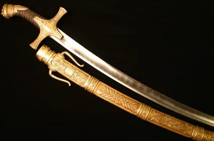 Шабля - в світі і вУкаіни