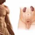 Народне лікування циститу у дітей (лікування) Народне лікування циститу у дітей