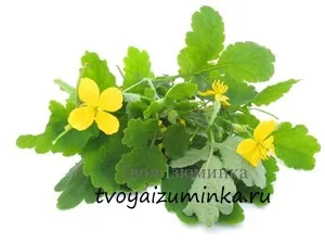 Чи можна вилікувати псоріаз