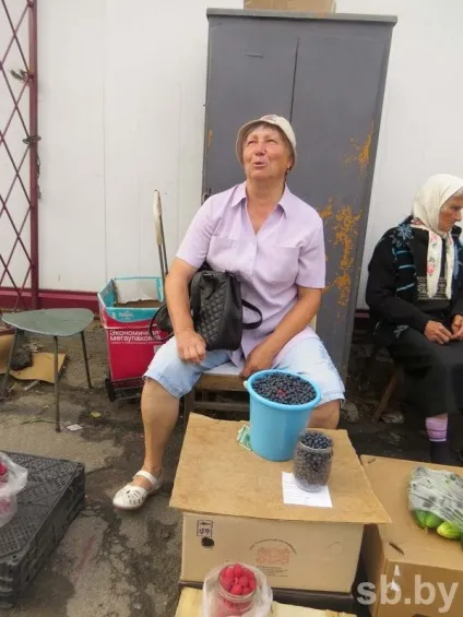 На Могильовщині почався сезон збору і заготівлі чорниць, але ягідники не поспішають здавати чорницю в