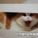 Чи не є і товстіти чому ті, хто нічого не їсть, не худнуть (Базовий обмін речовин) Чи не є і товстіти чому ті, хто нічого не їсть, не худнуть