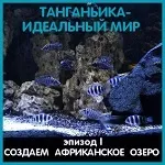 Про акваріумах, тераріумах і ставках для новачків і професіоналів (magazine Журнал RusTerra magazine) Про акваріумах, тераріумах і ставках для новачків і професіоналів